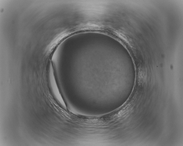 X0000059091455200510211555