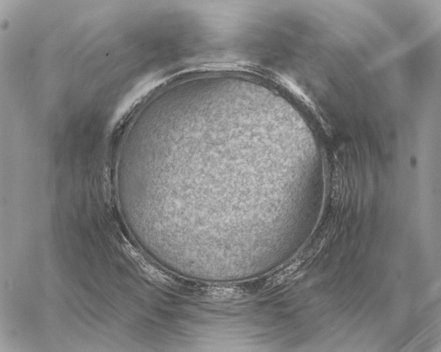 X0000059091456200510211555