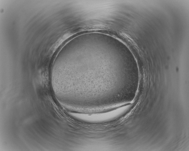 X0000059091457200510211555