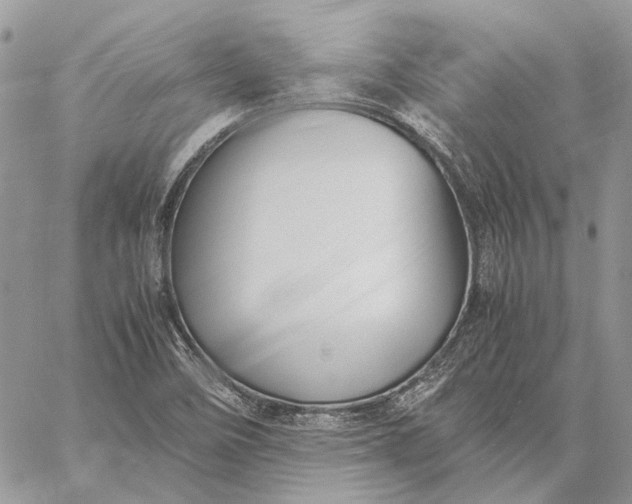 X0000059091458200510211555