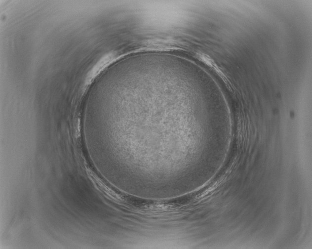 X0000059091459200510211555