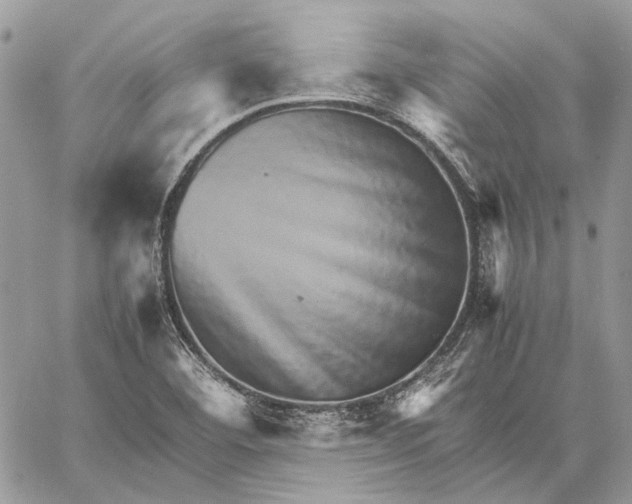 X0000059091460200510211555