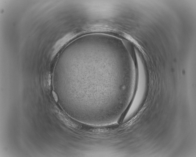 X0000059091461200510211555