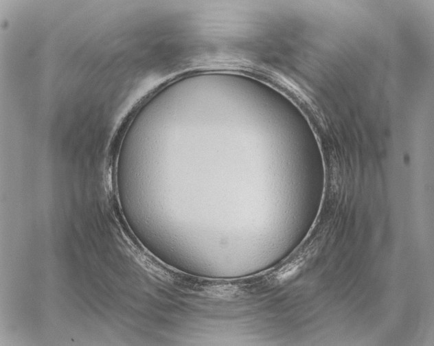 X0000059091462200510211555