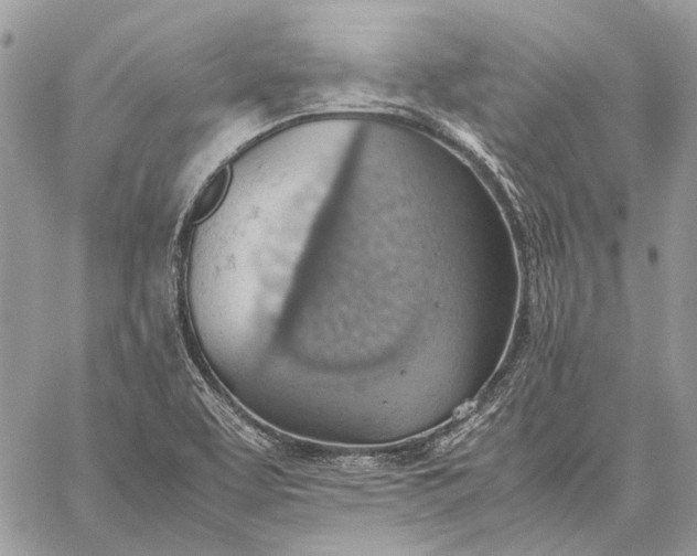 X0000059091463200510211555