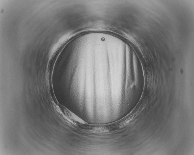 X0000059091464200510211555