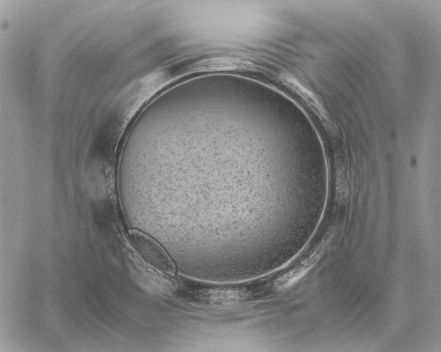 X0000059091465200510211555