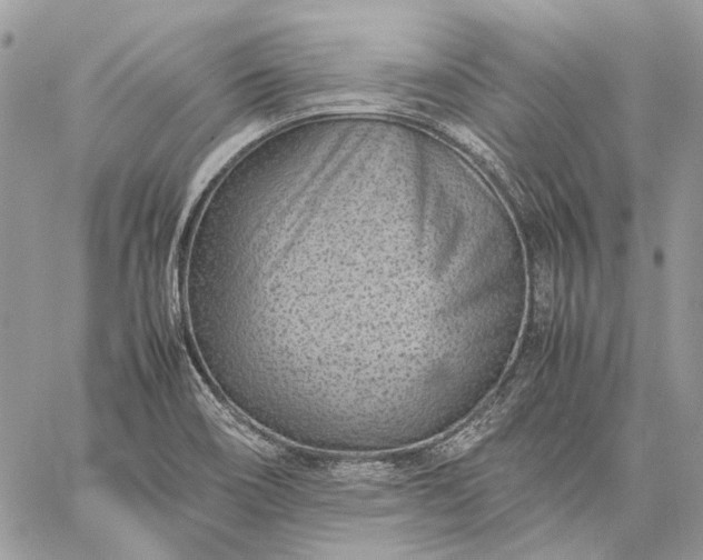 X0000059091466200510211555