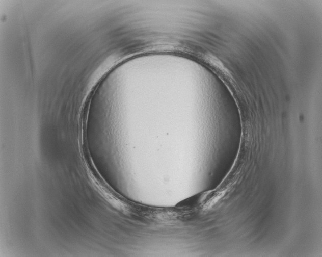 X0000059091467200510211555