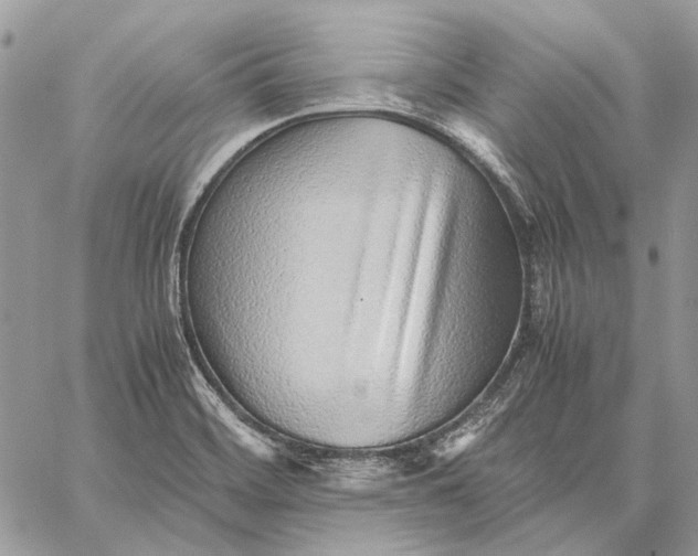 X0000059091468200510211555