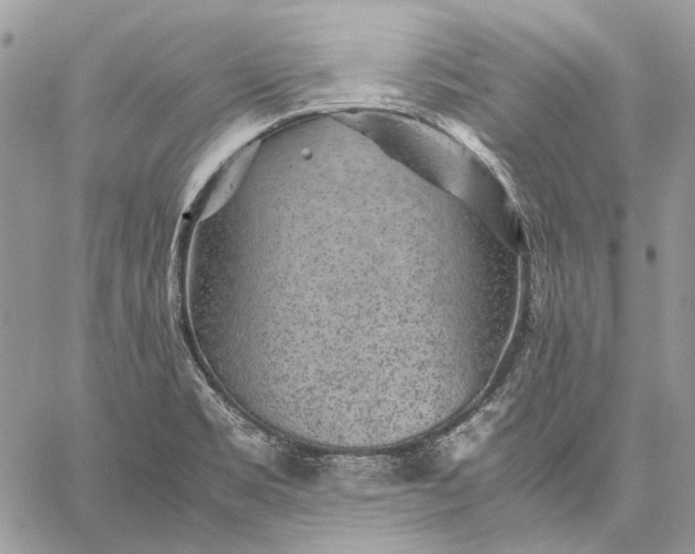 X0000059091469200510211555