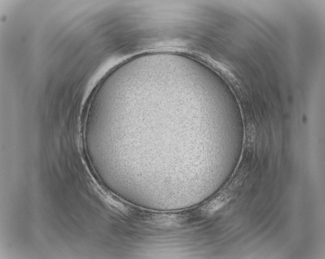 X0000059091470200510211555