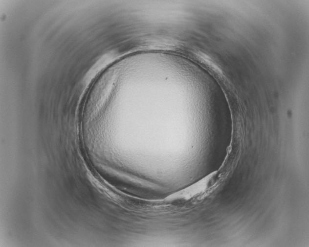 X0000059091471200510211555