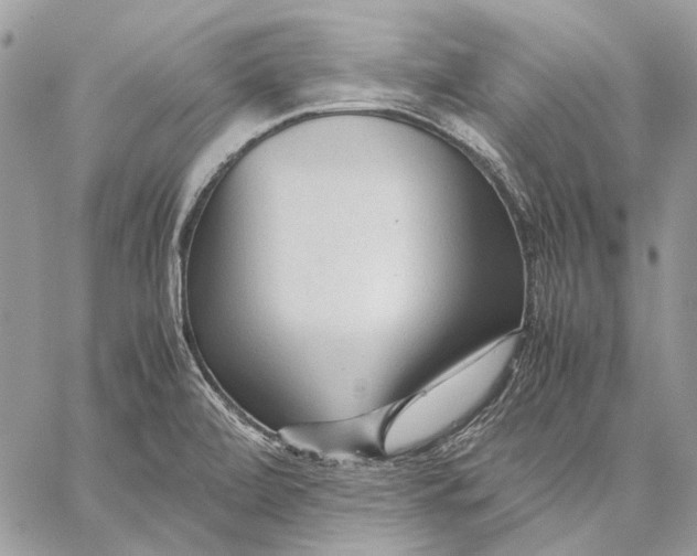 X0000059091472200510211554