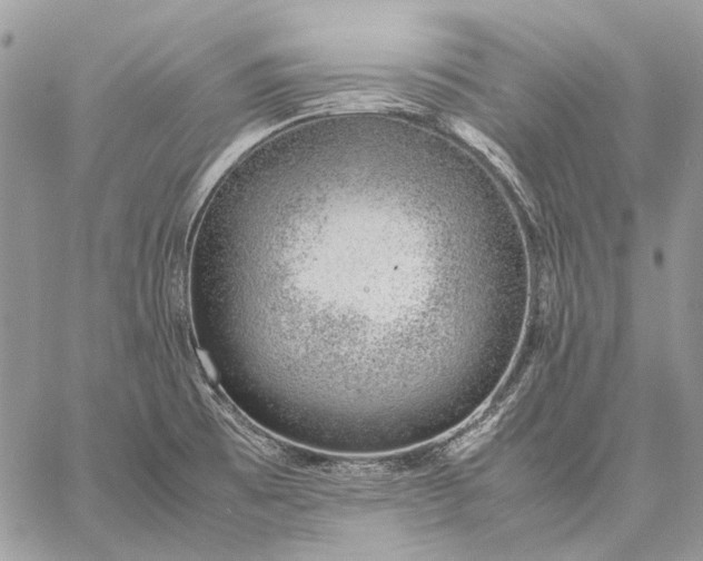 X0000059091473200510211554