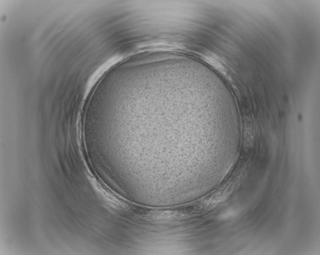 X0000059091474200510211554