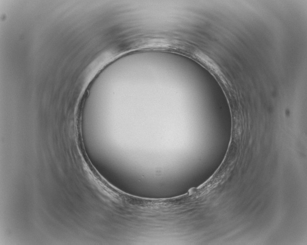 X0000059091475200510211554