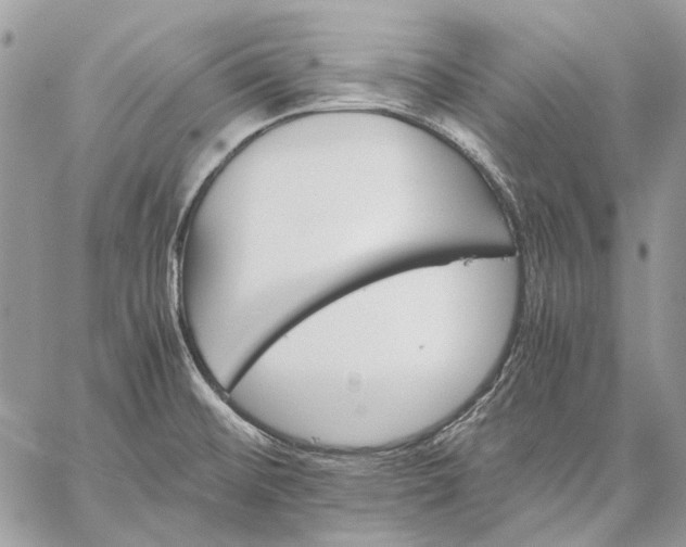 X0000059091476200510211554