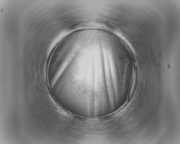 X0000059091477200510211554