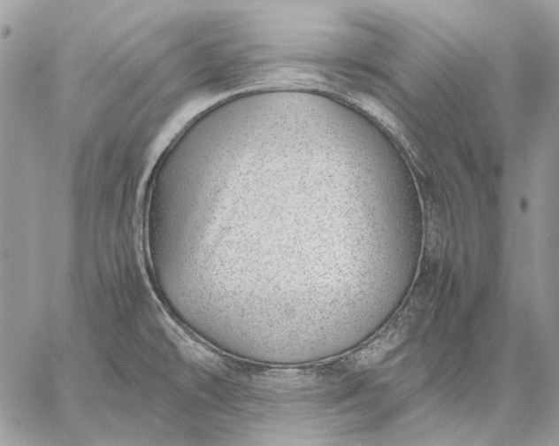 X0000059091478200510211554