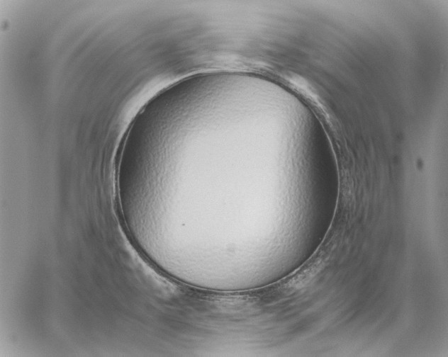 X0000059091479200510211554