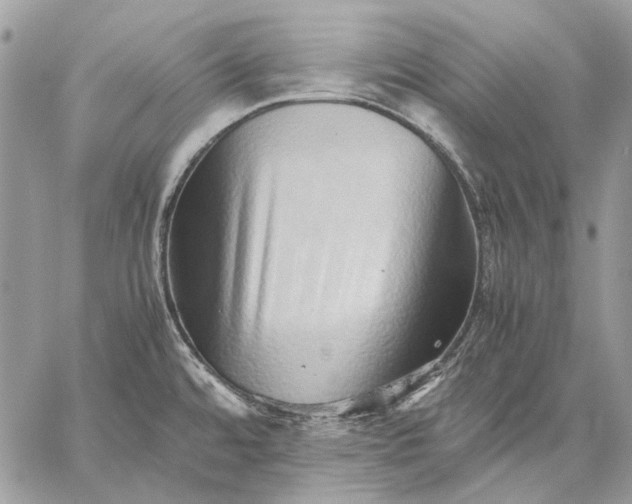 X0000059091480200510211554