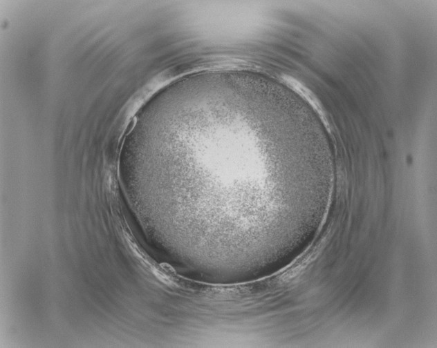 X0000059091481200510211554