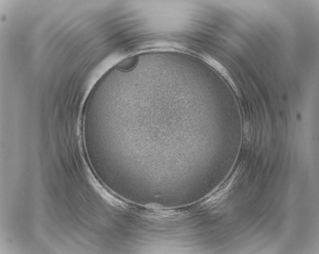 X0000059091482200510211554