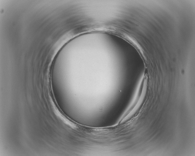 X0000059091483200510211554