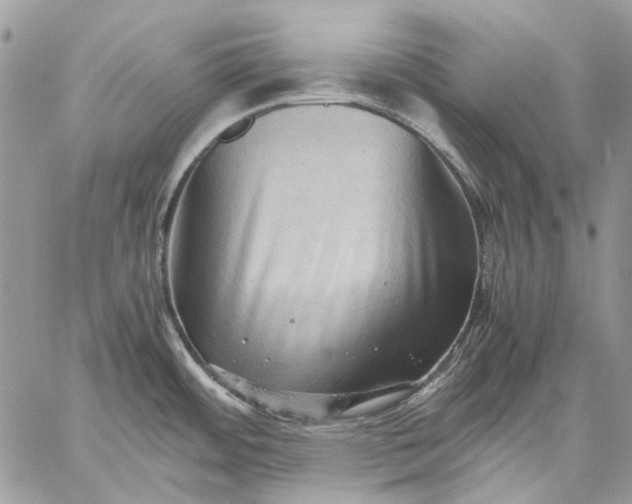 X0000059091484200510211554