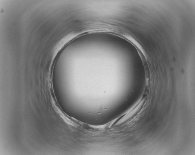 X0000059091485200510211554