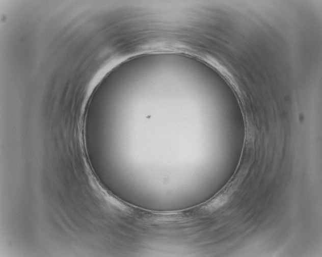 X0000059091486200510211554