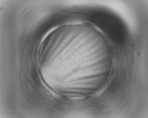 X0000059091487200510211554