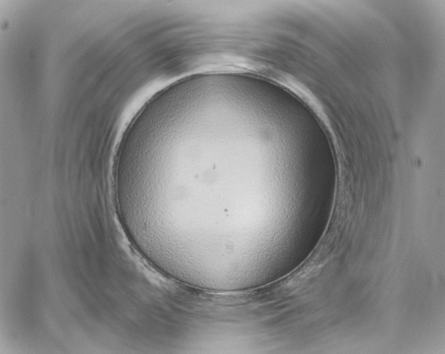 X0000059091488200510211554