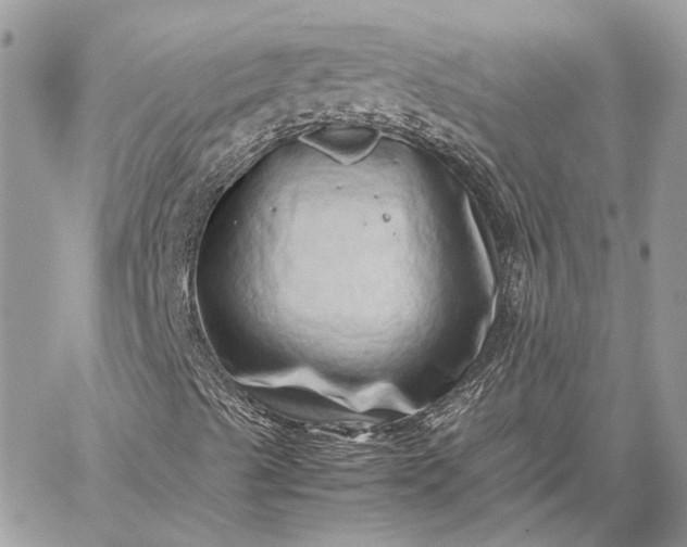 X0000059091489200510211553