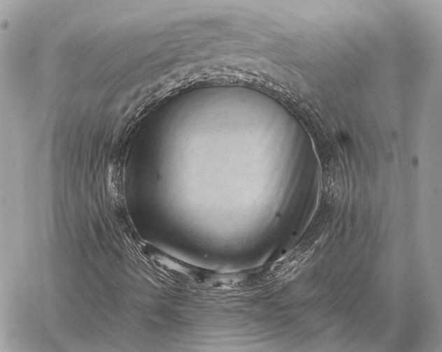 X0000059091490200510211553