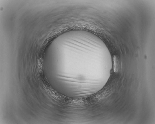 X0000059091491200510211553