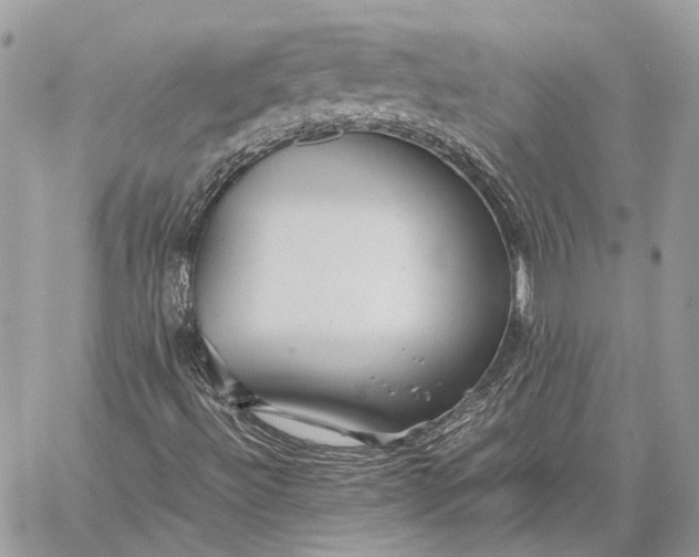 X0000059091492200510211553