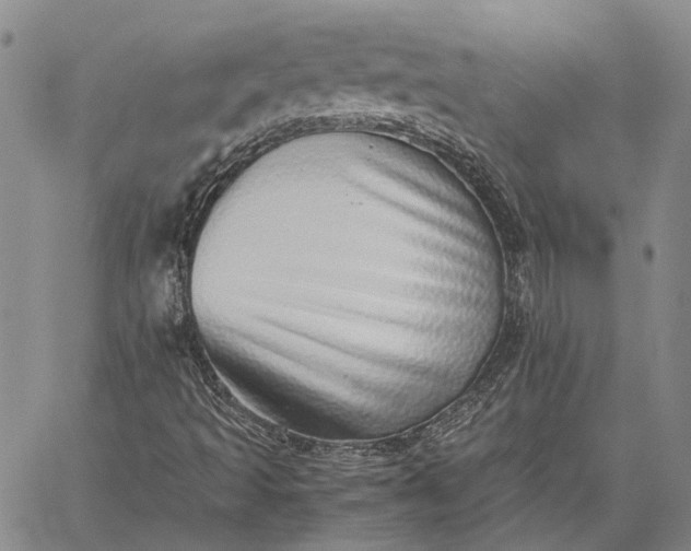 X0000059091493200510211554