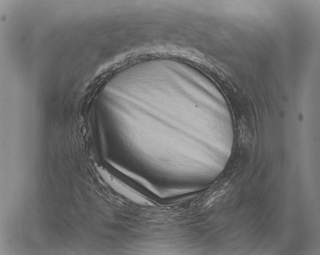 X0000059091494200510211554