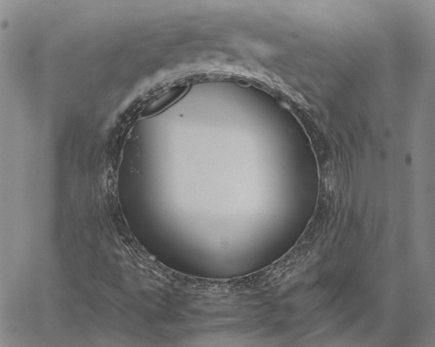 X0000059091495200510211554