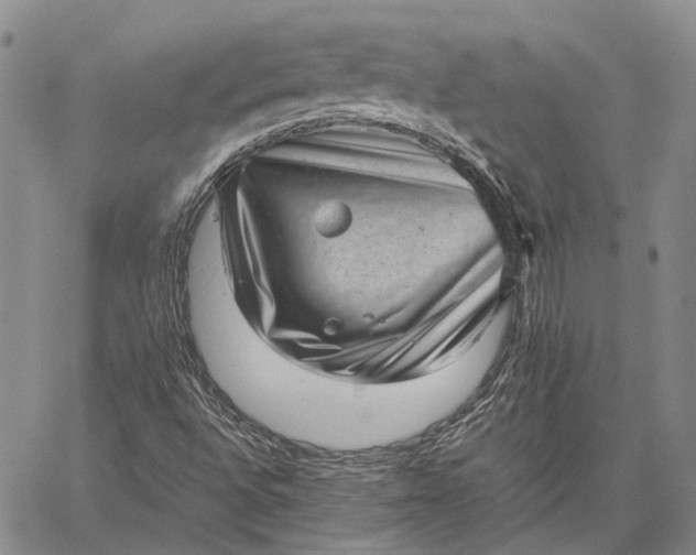 X0000059091496200510211554