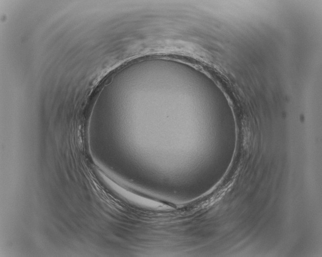 X0000059091497200510211554