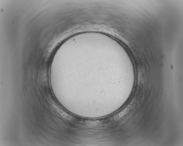 X0000059091498200510211554