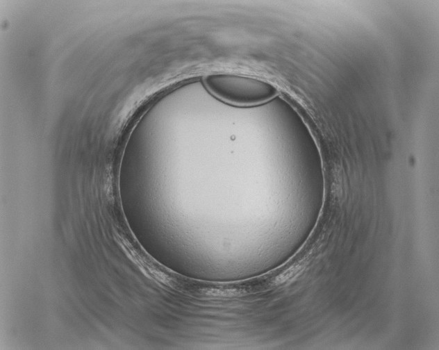 X0000059091499200510211554