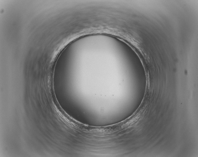 X0000059091500200510211554