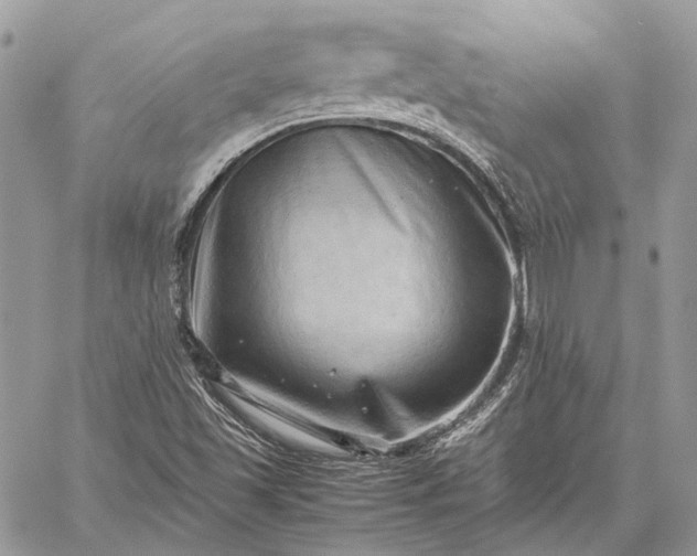 X0000059091501200510211554