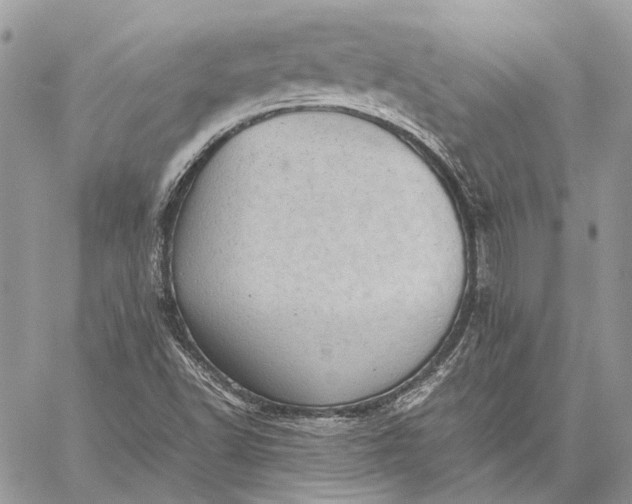 X0000059091502200510211554