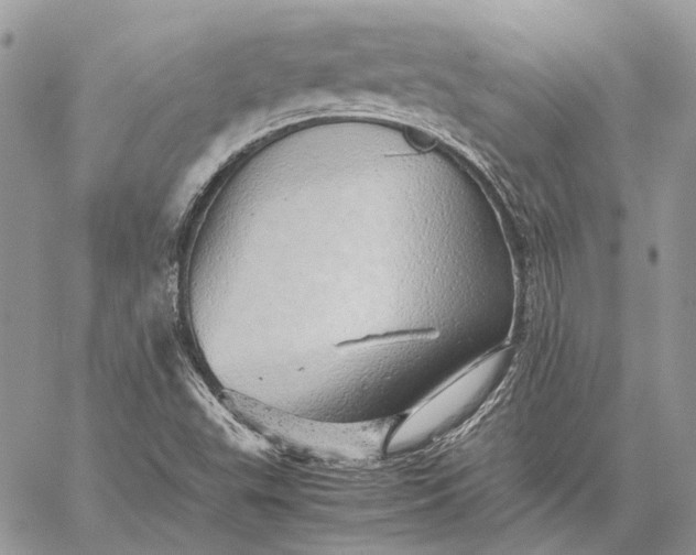 X0000059091503200510211554