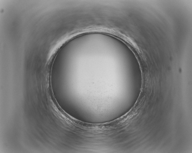 X0000059091504200510211554